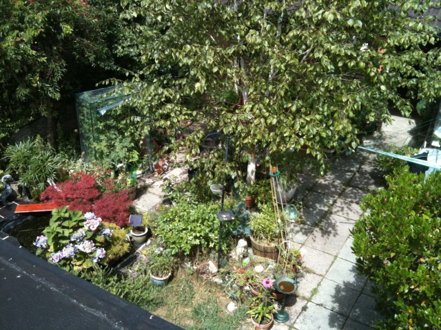 Garden From Above