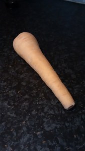 Cosmetically, this is the supermodel of parsnips, but it has no flavour