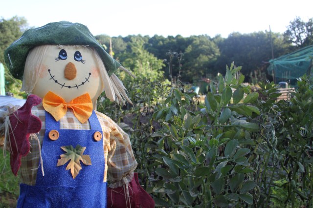 2015-07-18 08.00.03-1