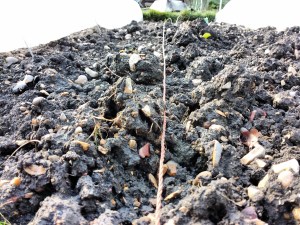 IMG_20160409_092453082