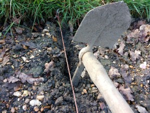 IMG_20160409_092530579