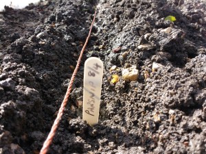 IMG_20160409_093422269