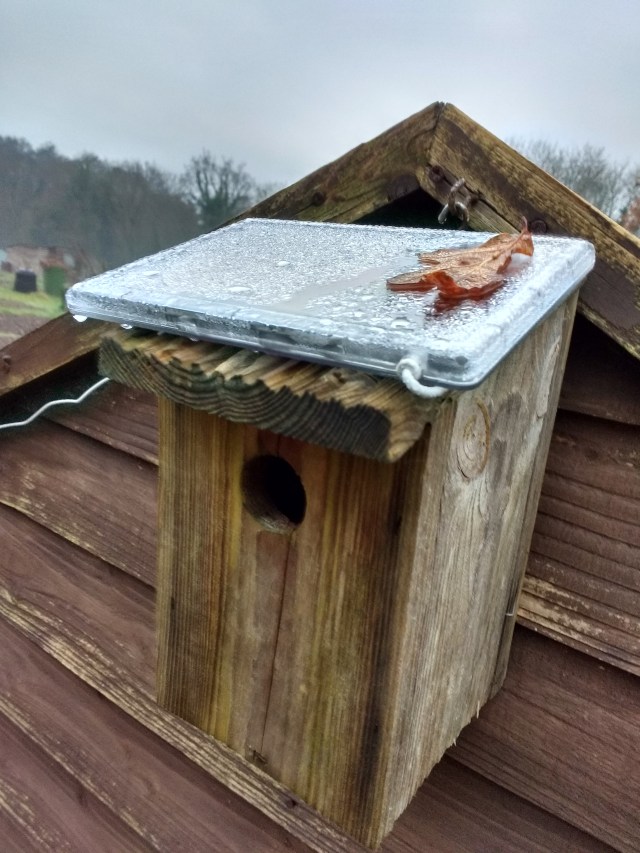 Not A Solar Bird House