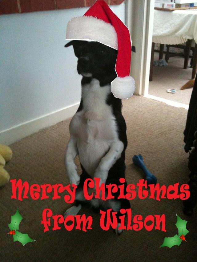 5290176834_a582cc515f_b