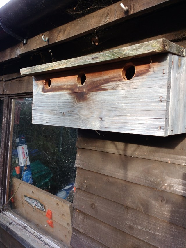 f3940ca5-9a8c-4b51-b7a1-d7cba971c379