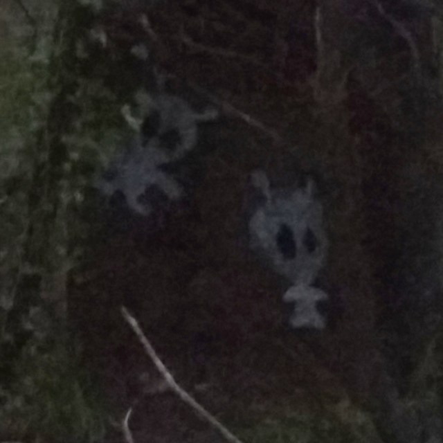 img_20170201_081259_342