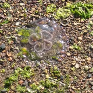 img_20190521_101629_318