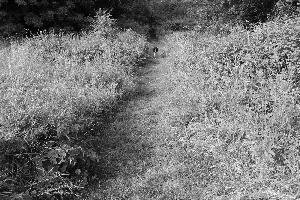 img_20190605_134016-animation