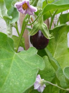 img_20190906_073641783